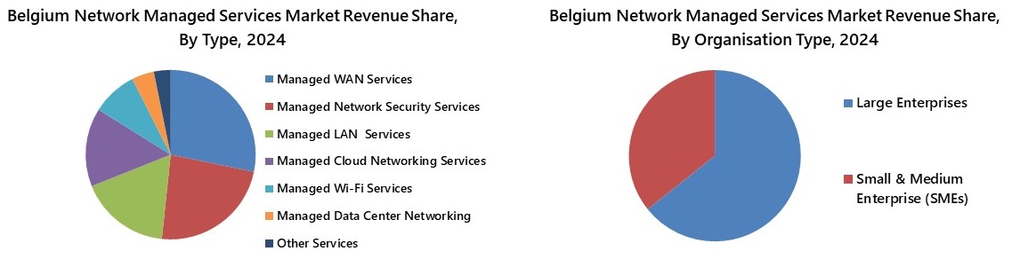 Belgium Network Managed Services Market Segmentation