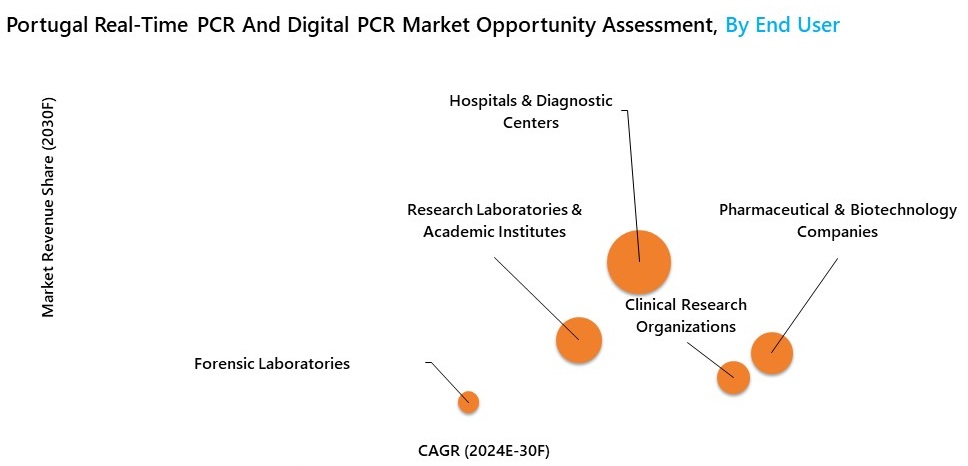 Portugal Real-Time PCR And Digital PCR Market Opportunity assessment
