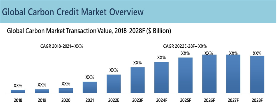 Global Carbon Credit Market