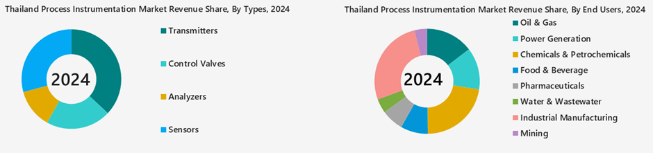 Thailand Process Instrumentation Market Segmentation Analysis