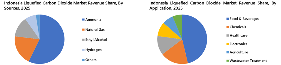Indonesia Liquefied Carbon Dioxide Market Segmentation Analysis