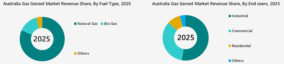Australia Gas Genset Market Segmentation Analysis