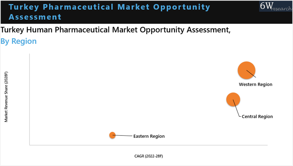 Turkey Pharmaceuticals Market Brazil Erythromycin Market