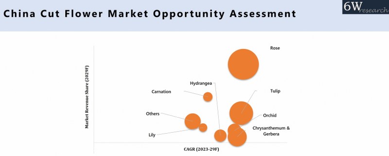 China Cut Flower Market Opportunity Assessment