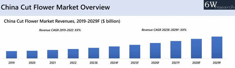 China Cut Flower Market Overview