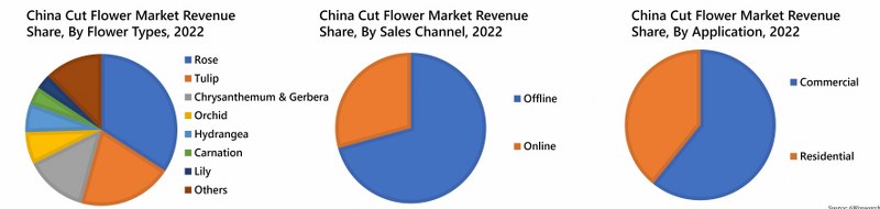 China Cut Flower Market Revenue Share