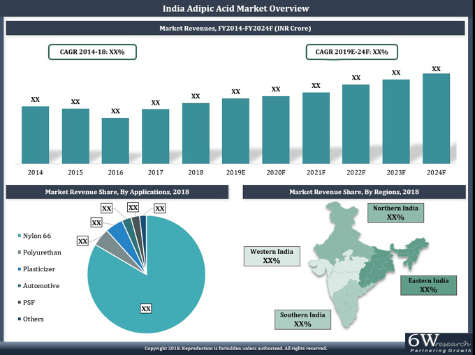 India Adipic Acid Market (2019-2024)