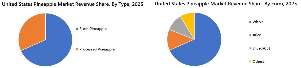 United States Pineapple Market Segmentation Analysis