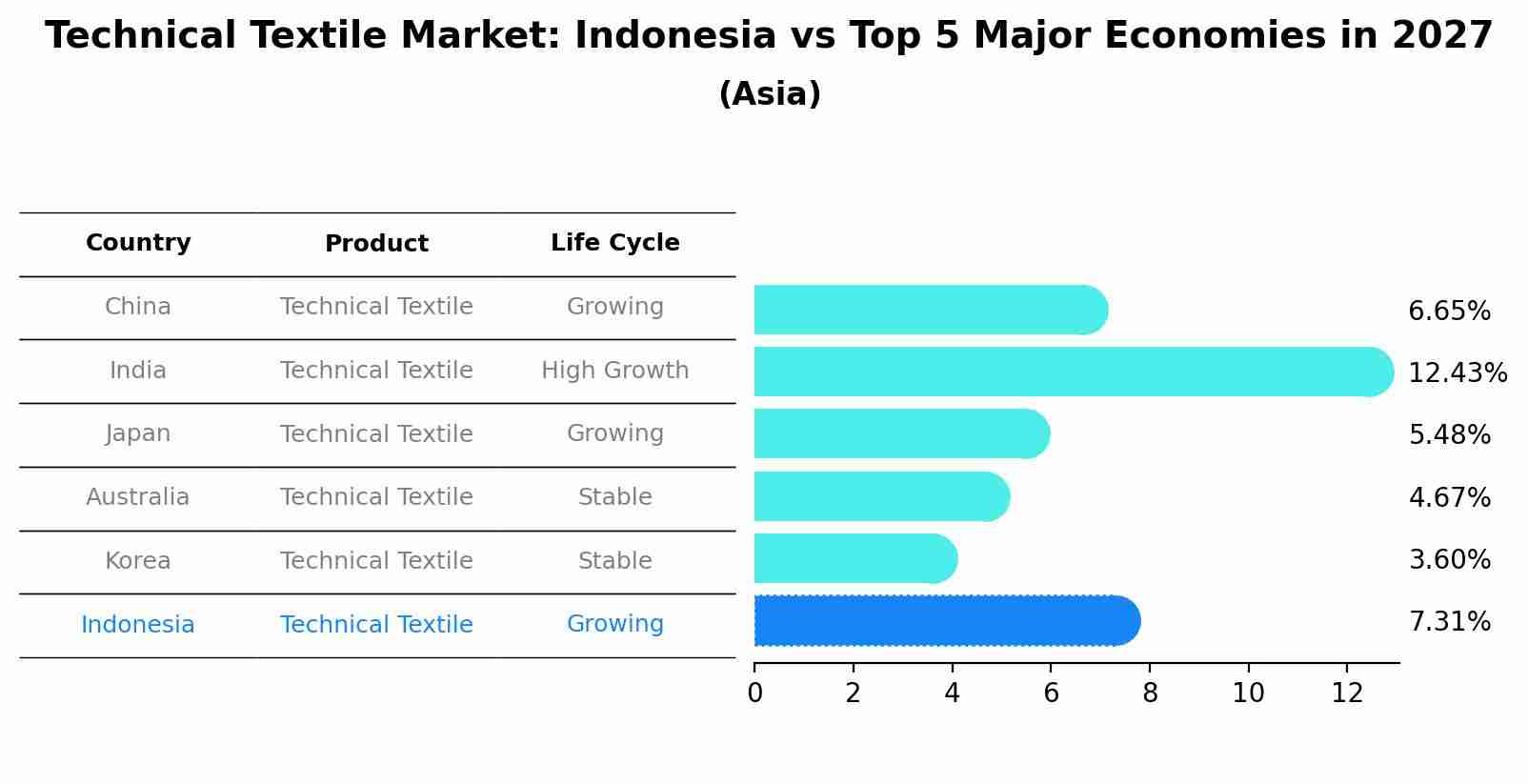 Technical Textile Market: Indonesia vs Top 5 Major Economies in 2027 (Asia)