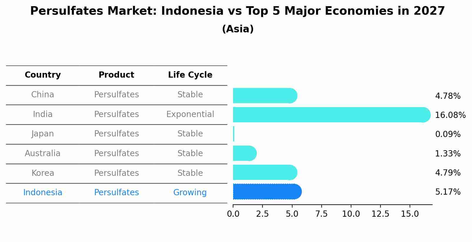 Persulfates Market: Indonesia vs Top 5 Major Economies in 2027 (Asia)