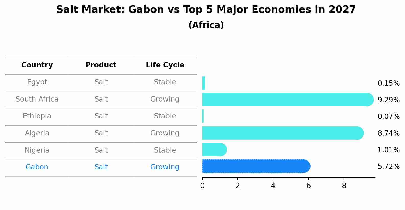 Salt Market: Gabon vs Top 5 Major Economies in 2027 (Africa)