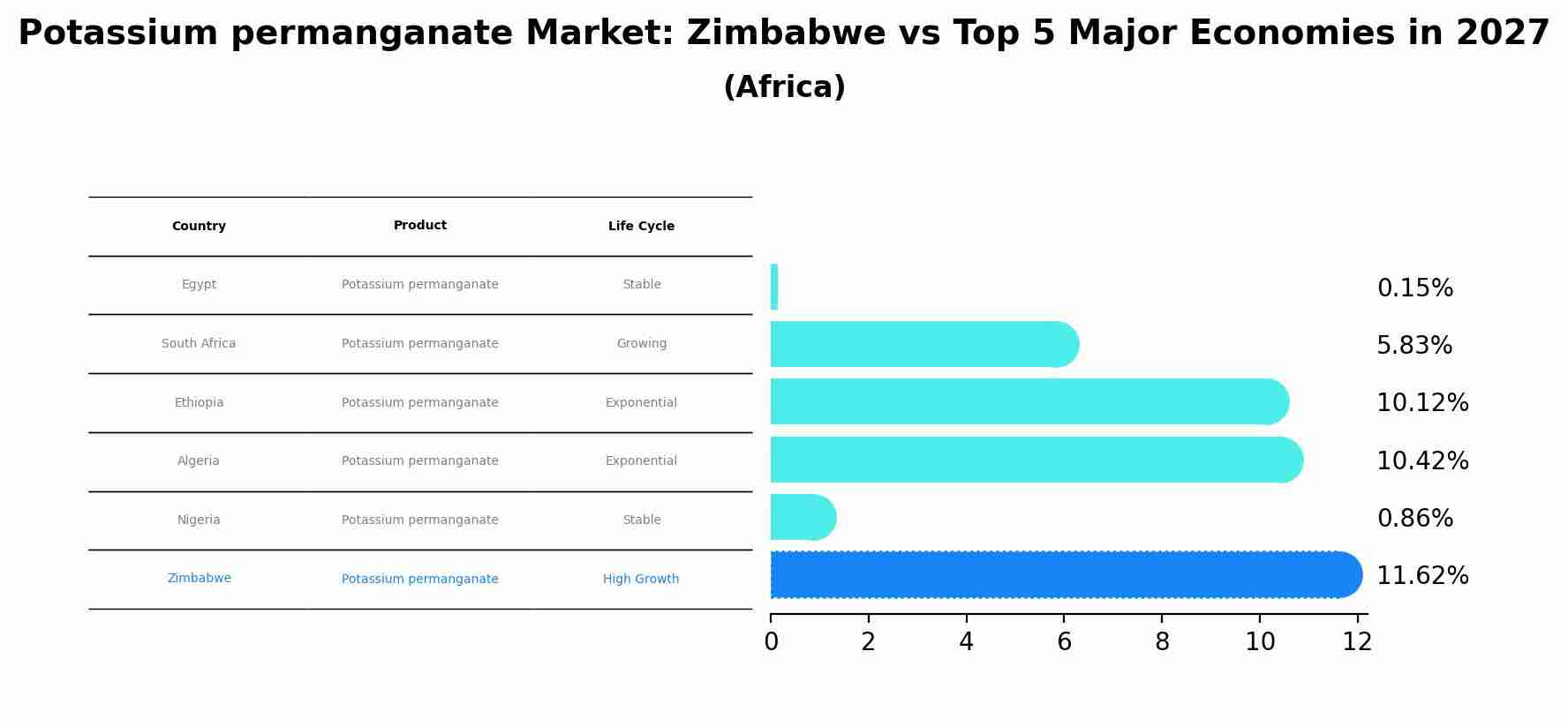 Potassium permanganate Market: Zimbabwe vs Top 5 Major Economies in 2027 (Africa)