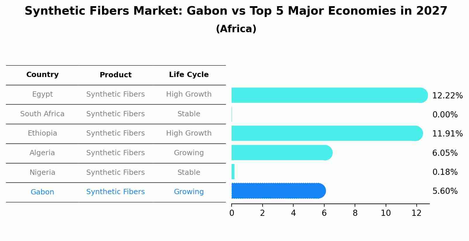 Synthetic Fibers Market: Gabon vs Top 5 Major Economies in 2027 (Africa)