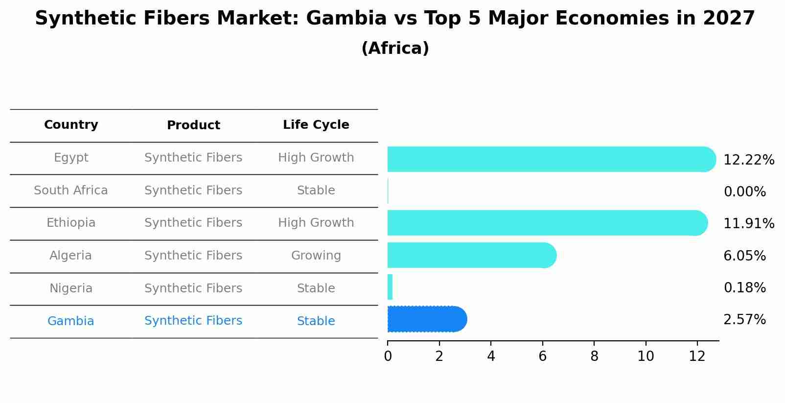 Synthetic Fibers Market: Gambia vs Top 5 Major Economies in 2027 (Africa)