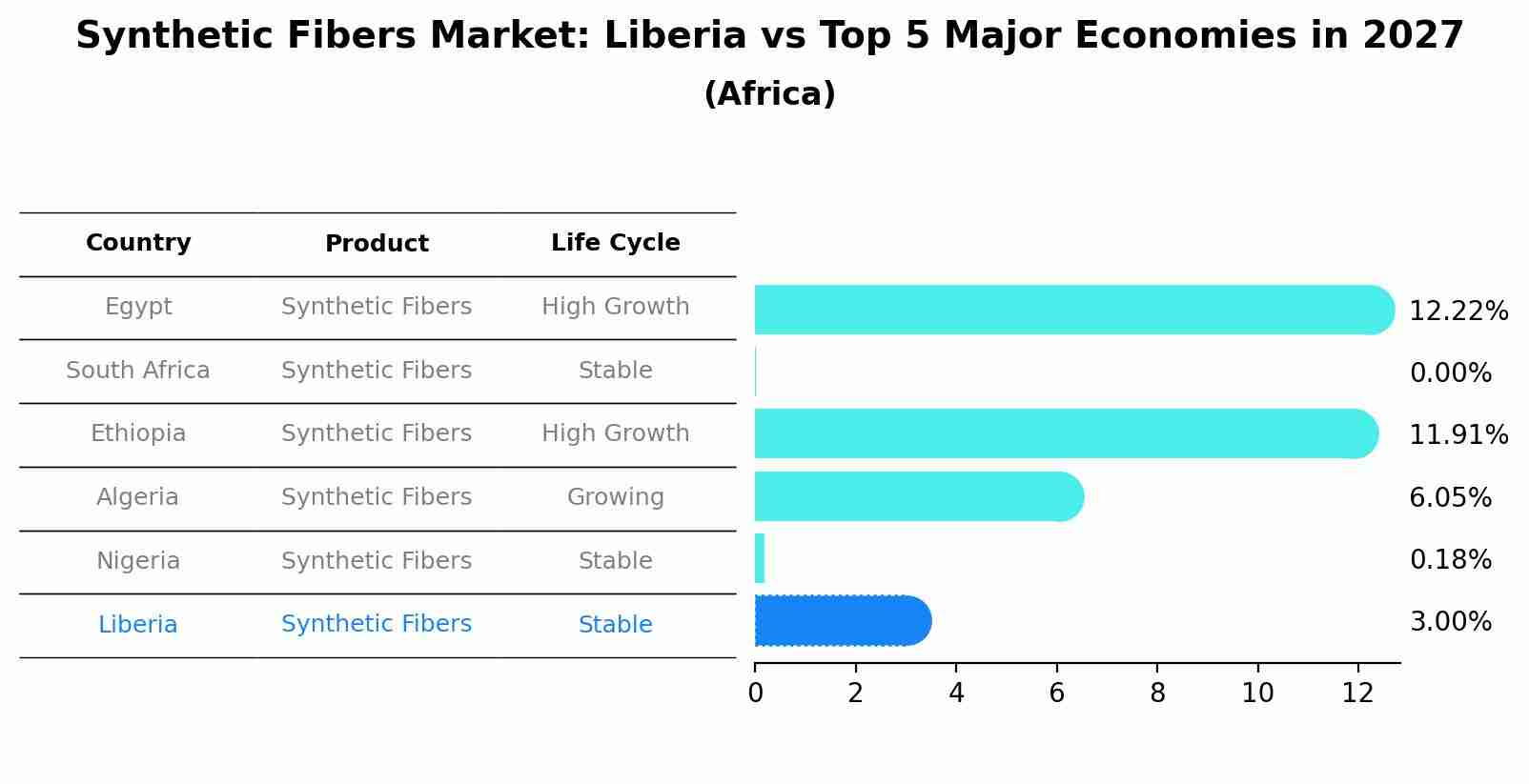 Synthetic Fibers Market: Liberia vs Top 5 Major Economies in 2027 (Africa)