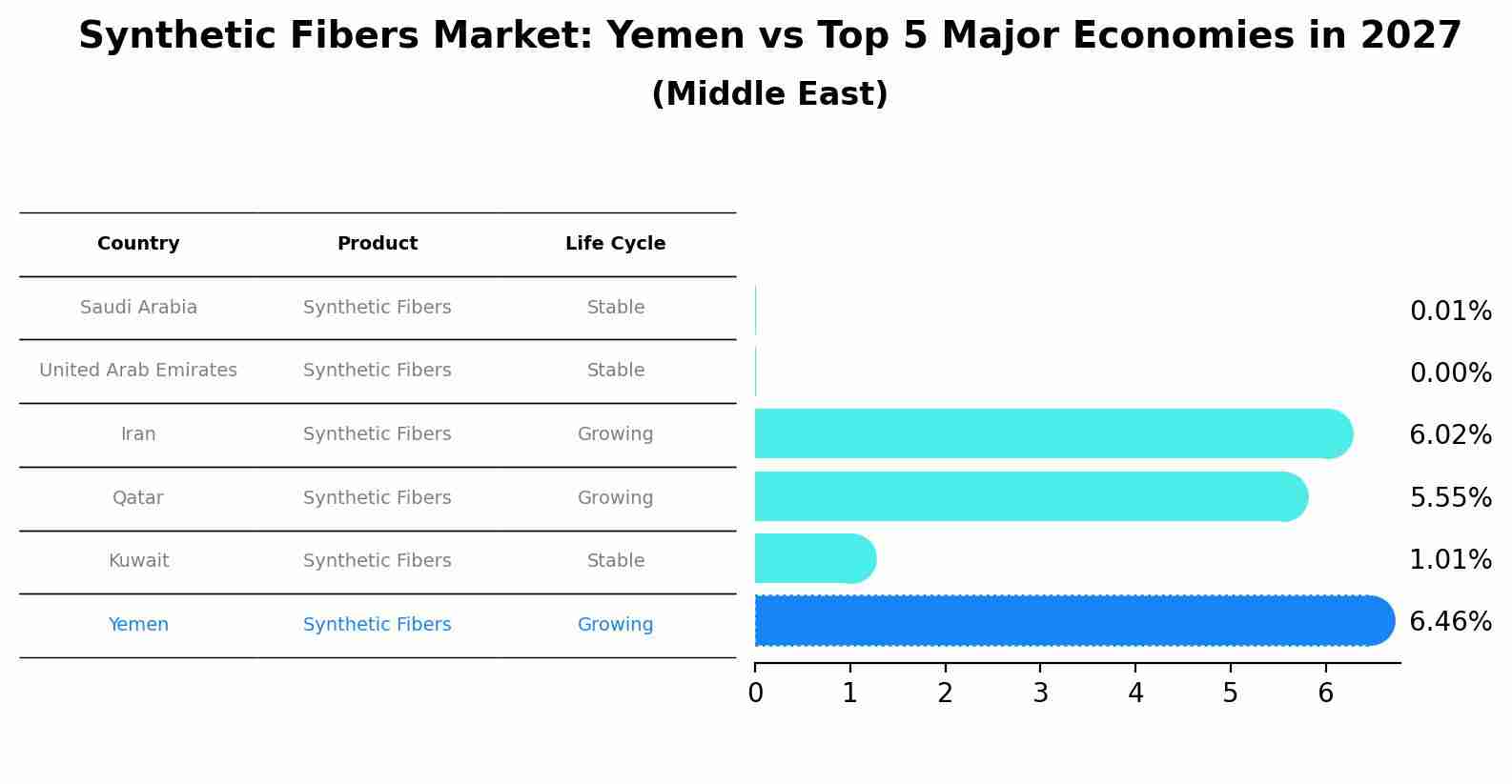 Synthetic Fibers Market: Yemen vs Top 5 Major Economies in 2027 (Middle East)
