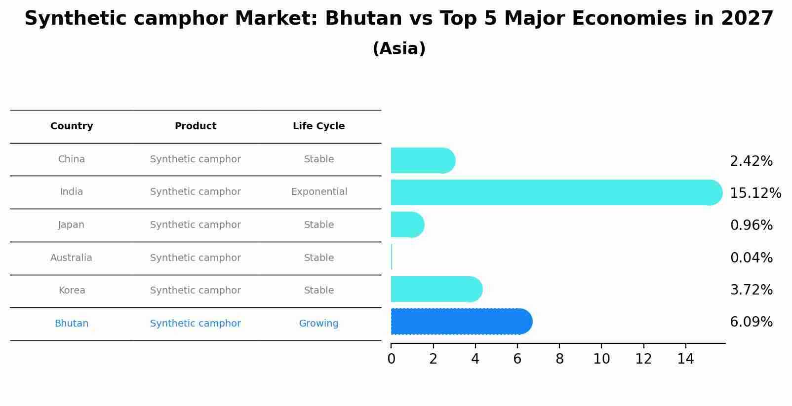 Synthetic camphor Market: Bhutan vs Top 5 Major Economies in 2027 (Asia)