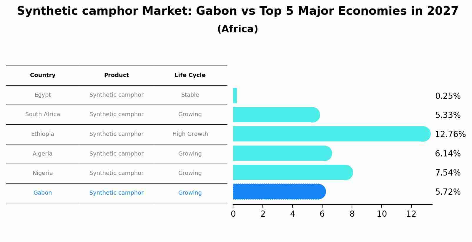 Synthetic camphor Market: Gabon vs Top 5 Major Economies in 2027 (Africa)