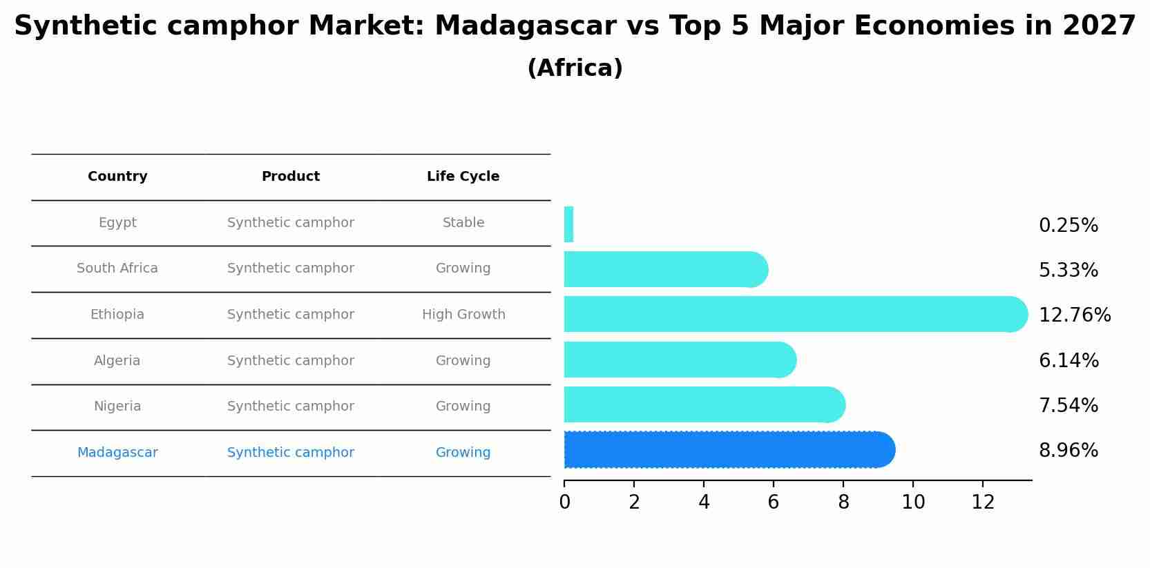 Synthetic camphor Market: Madagascar vs Top 5 Major Economies in 2027 (Africa)