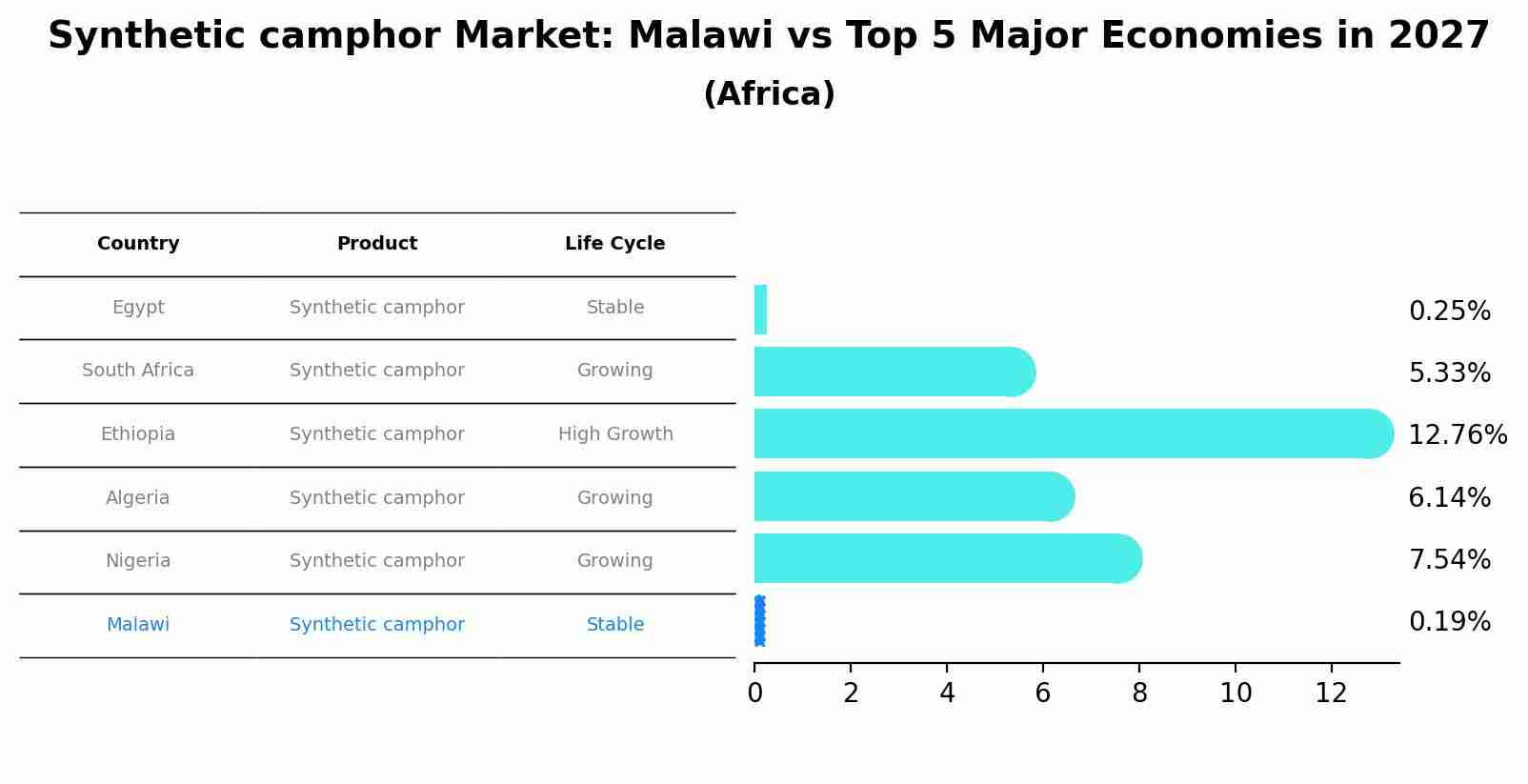 Synthetic camphor Market: Malawi vs Top 5 Major Economies in 2027 (Africa)