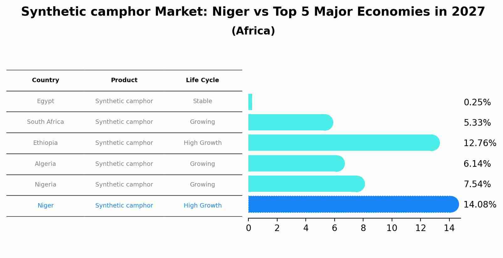 Synthetic camphor Market: Niger vs Top 5 Major Economies in 2027 (Africa)
