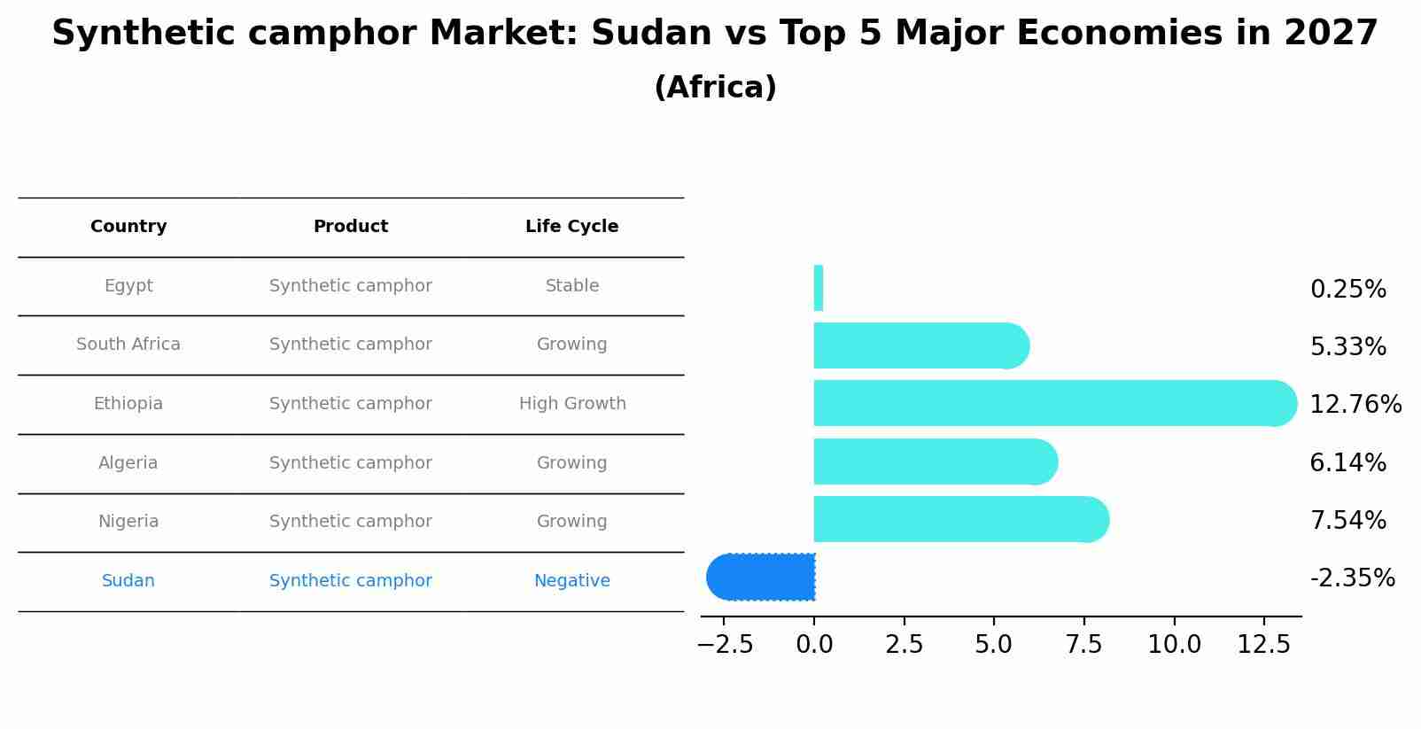 Synthetic camphor Market: Sudan vs Top 5 Major Economies in 2027 (Africa)