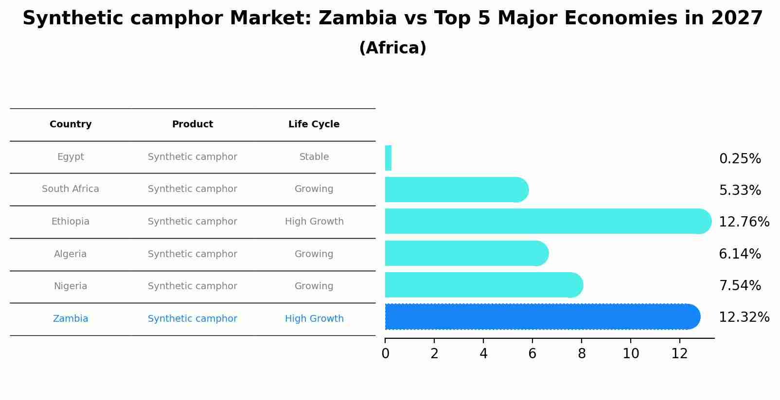 Synthetic camphor Market: Zambia vs Top 5 Major Economies in 2027 (Africa)