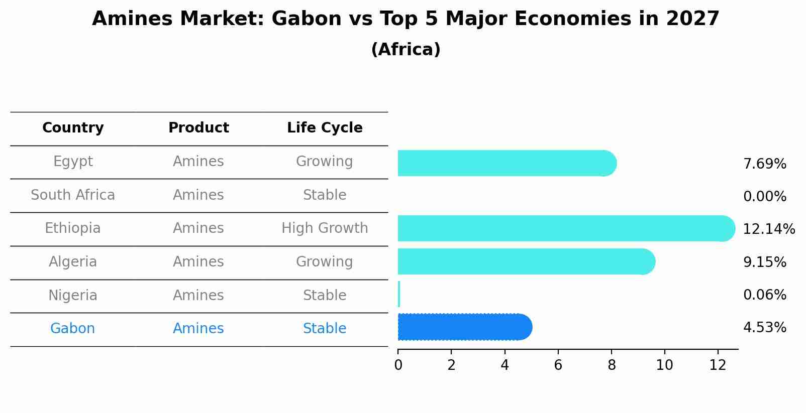 Amines Market: Gabon vs Top 5 Major Economies in 2027 (Africa)