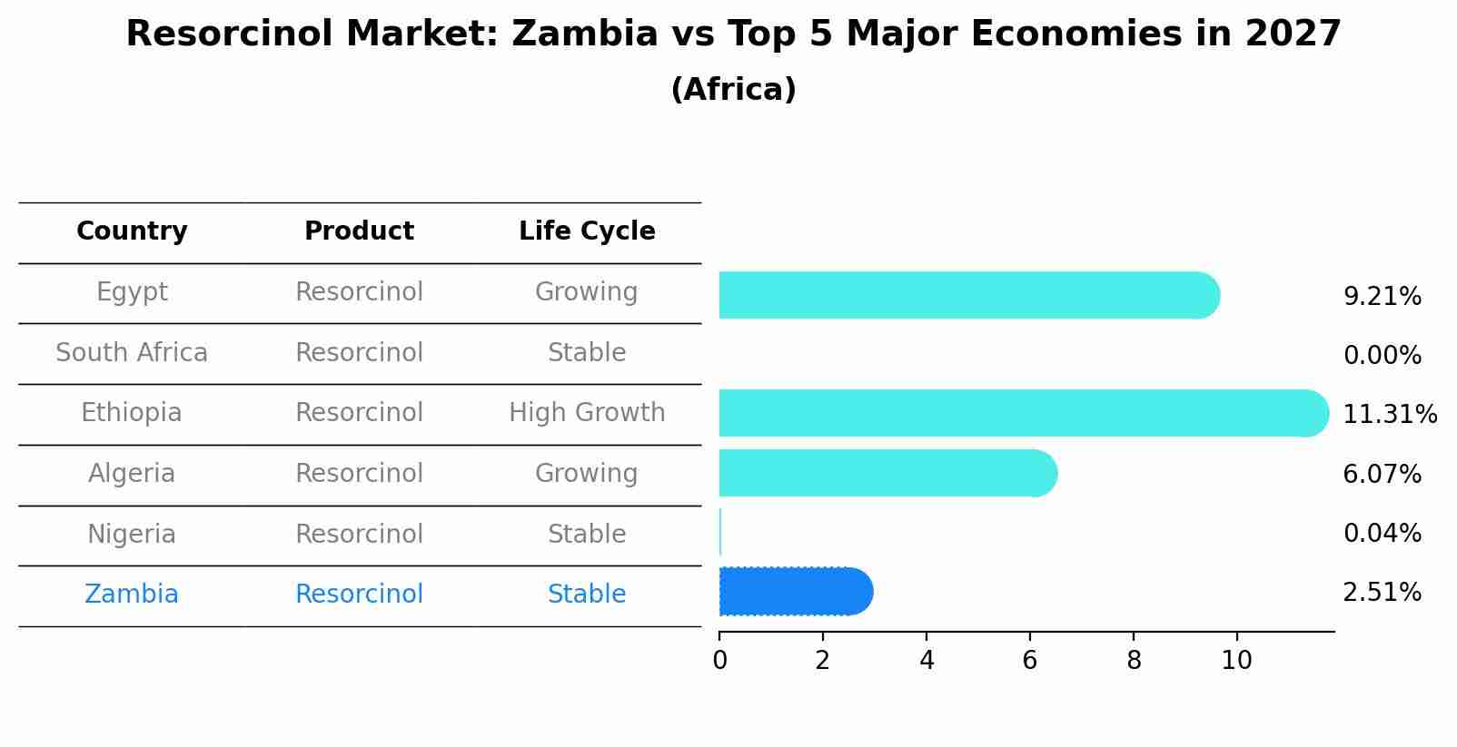 Resorcinol Market: Zambia vs Top 5 Major Economies in 2027 (Africa)