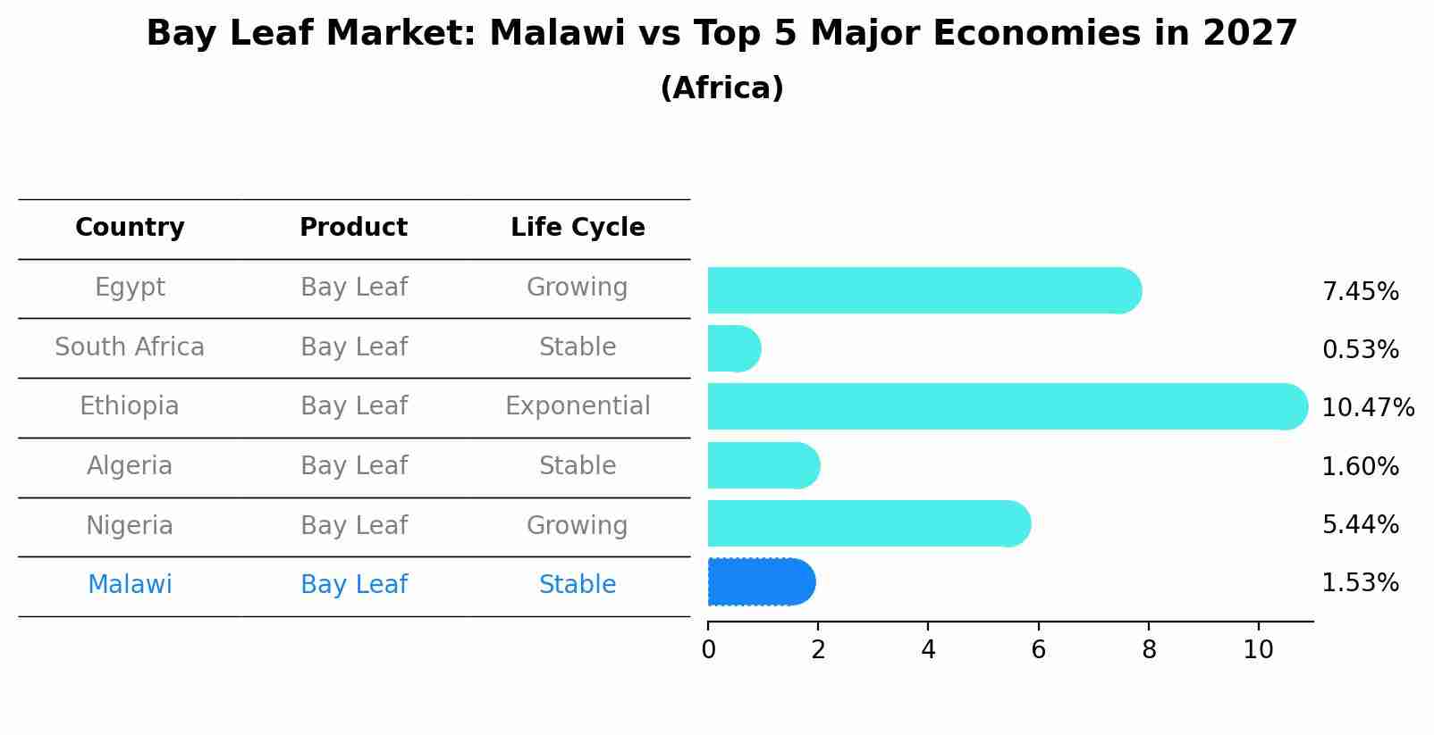 Bay Leaf Market: Malawi vs Top 5 Major Economies in 2027 (Africa)
