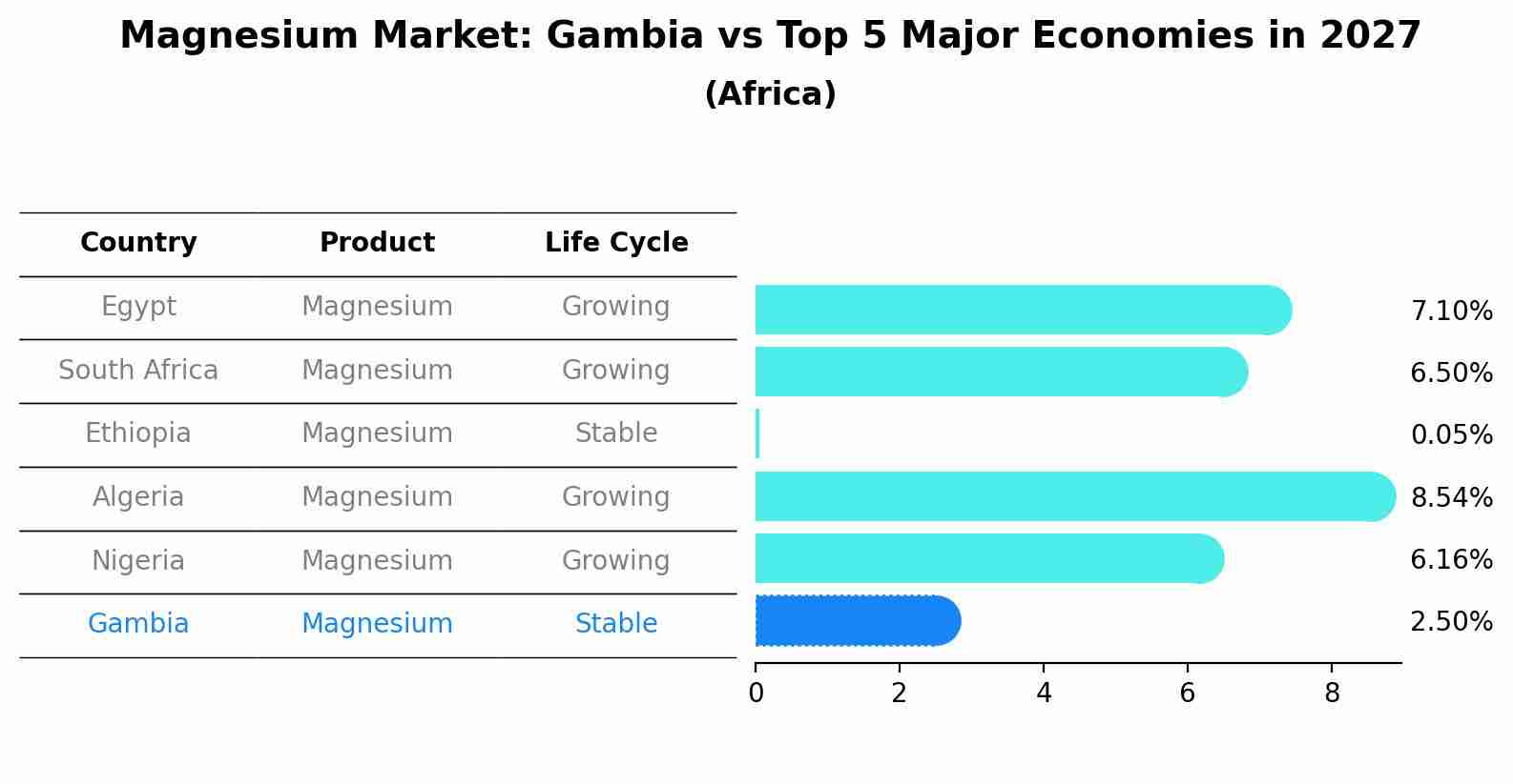 Magnesium Market: Gambia vs Top 5 Major Economies in 2027 (Africa)