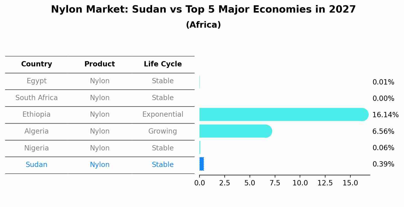 Nylon Market: Sudan vs Top 5 Major Economies in 2027 (Africa)
