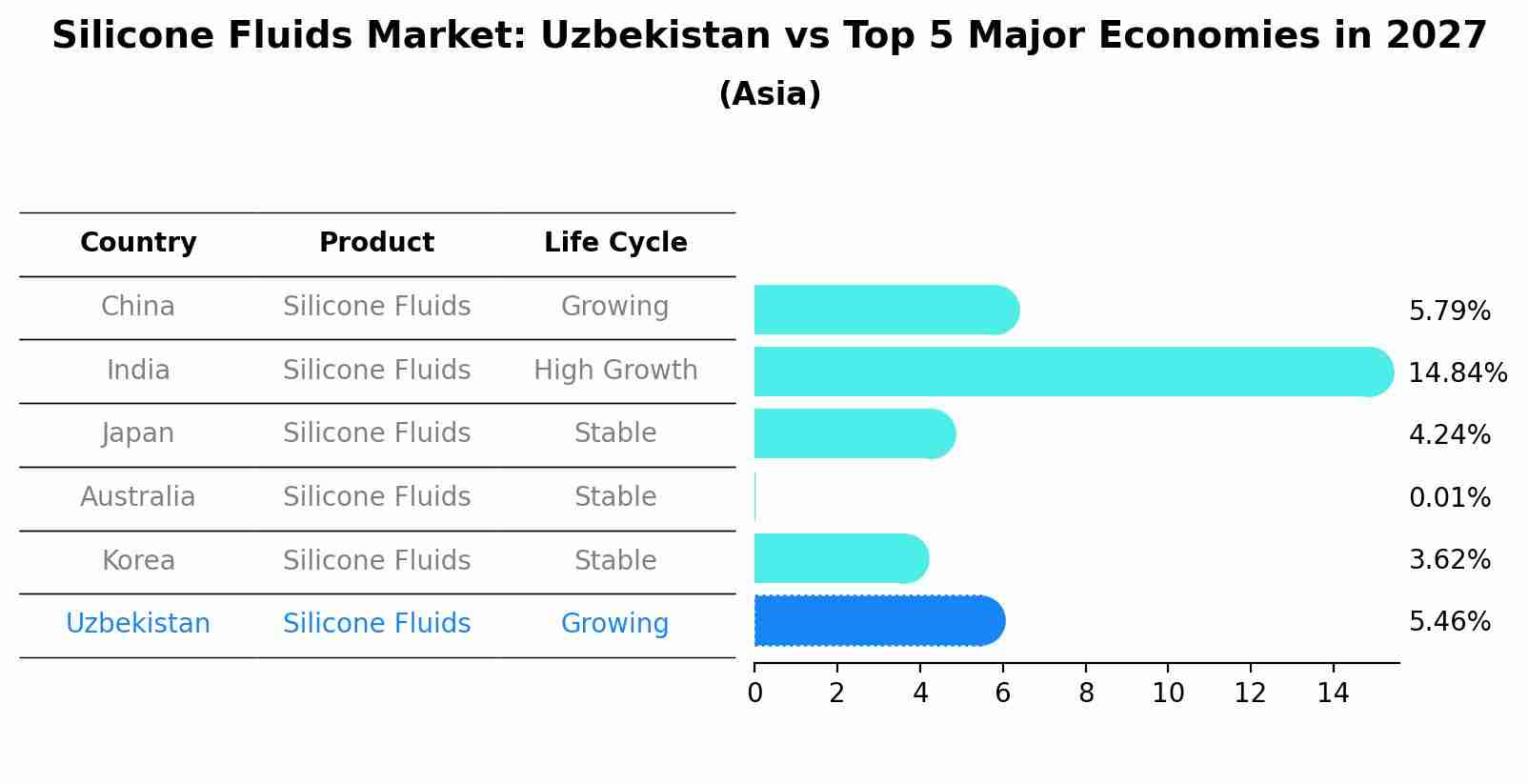 Silicone Fluids Market: Uzbekistan vs Top 5 Major Economies in 2027 (Asia)