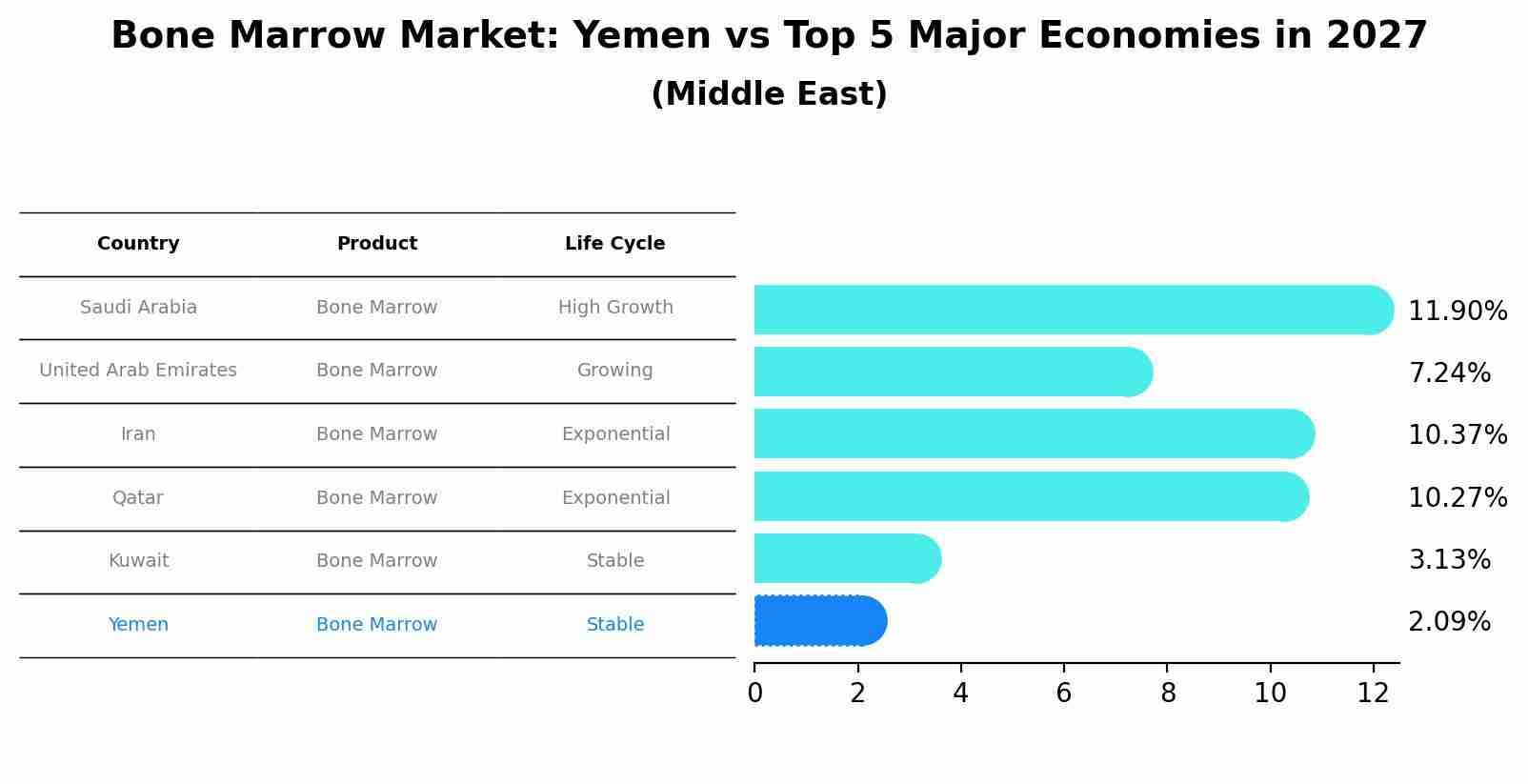 Bone Marrow Market: Yemen vs Top 5 Major Economies in 2027 (Middle East)