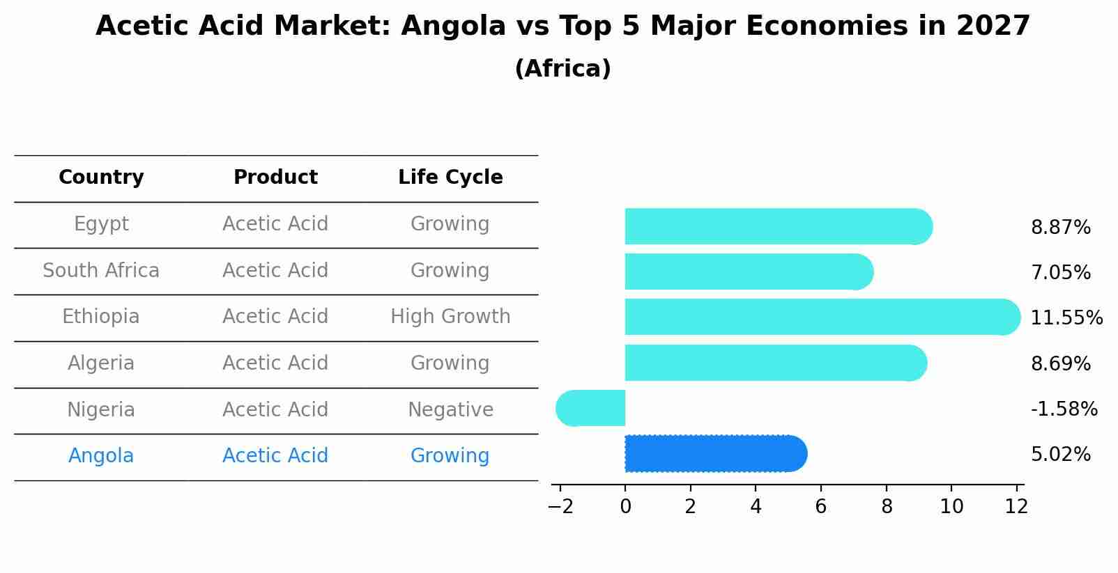 Acetic Acid Market: Angola vs Top 5 Major Economies in 2027 (Africa)