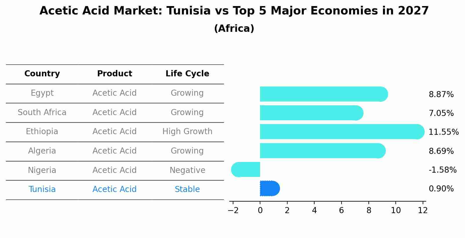 Acetic Acid Market: Tunisia vs Top 5 Major Economies in 2027 (Africa)