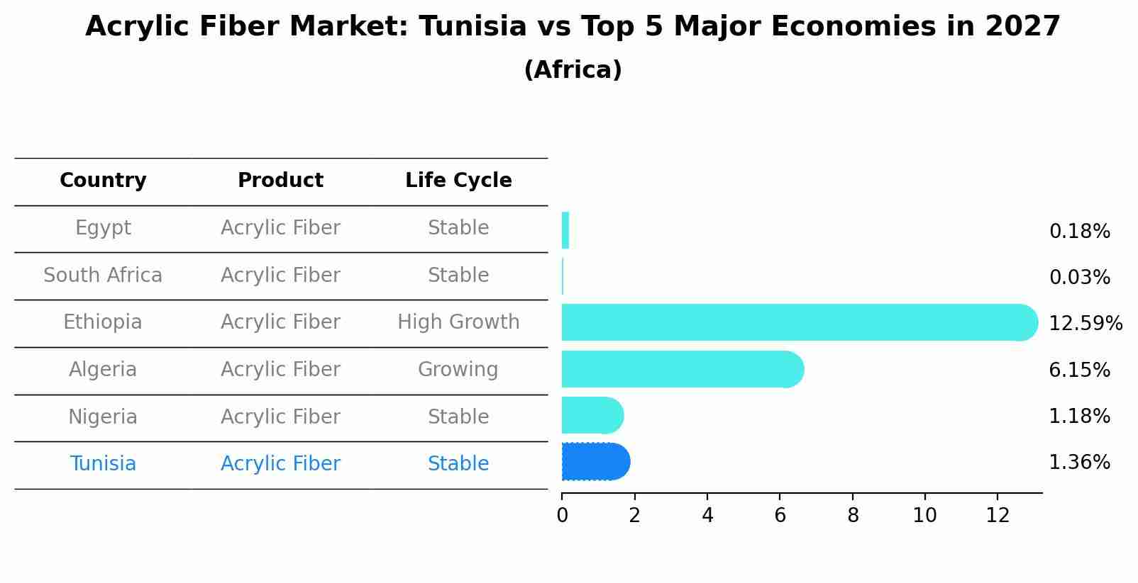 Acrylic Fiber Market: Tunisia vs Top 5 Major Economies in 2027 (Africa)