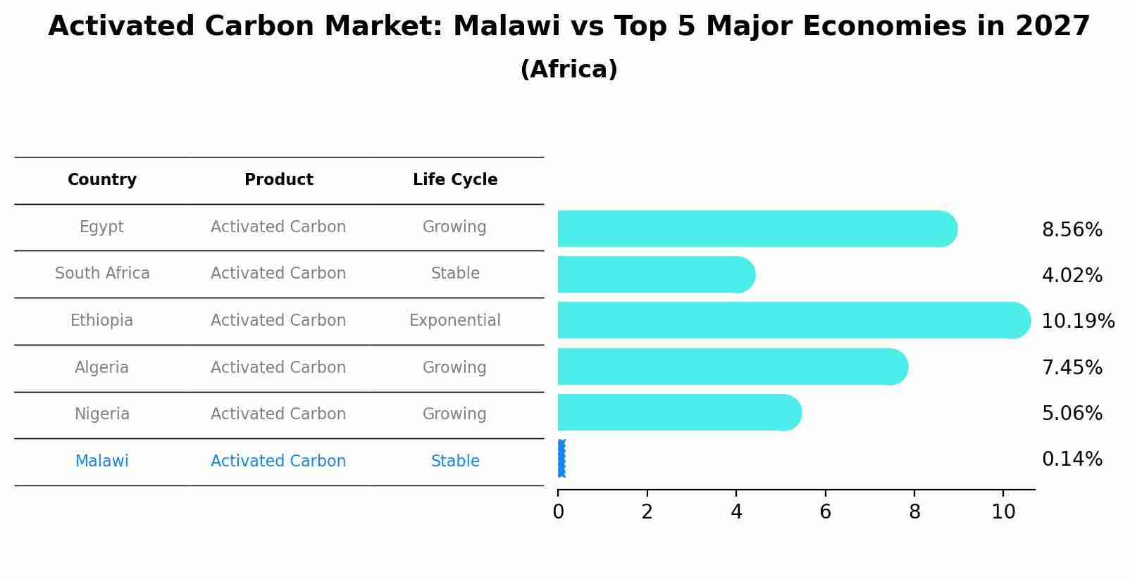 Activated Carbon Market: Malawi vs Top 5 Major Economies in 2027 (Africa)