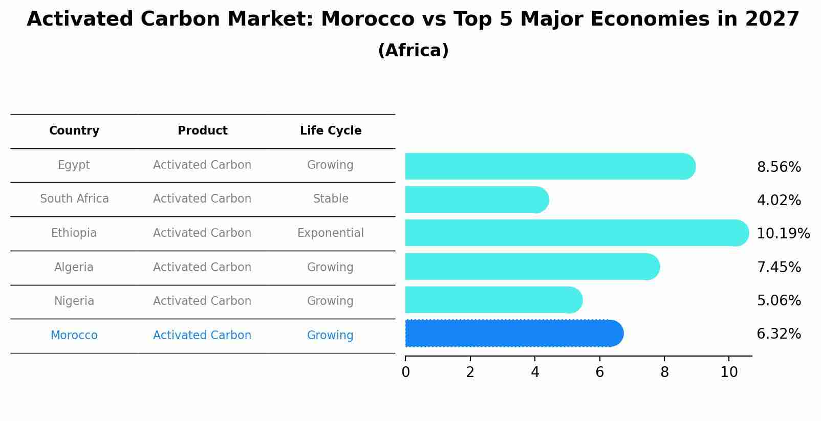 Activated Carbon Market: Morocco vs Top 5 Major Economies in 2027 (Africa)