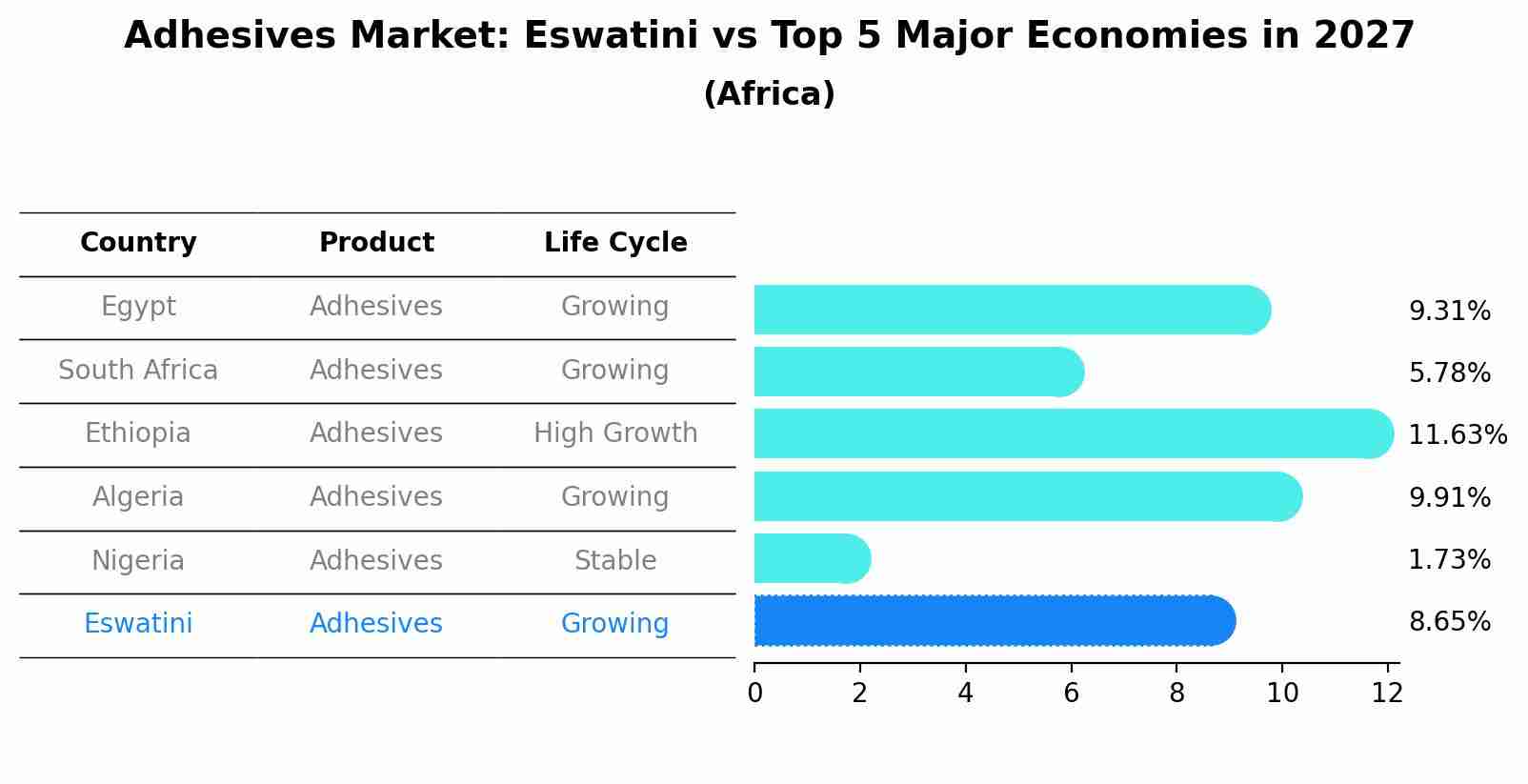 Adhesives Market: Eswatini vs Top 5 Major Economies in 2027 (Africa)