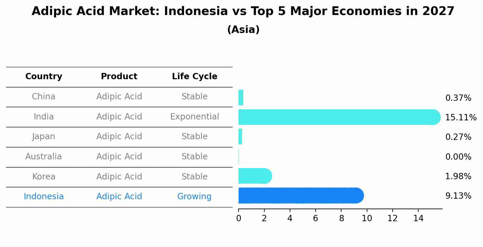 Adipic Acid Market: Indonesia vs Top 5 Major Economies in 2027 (Asia)