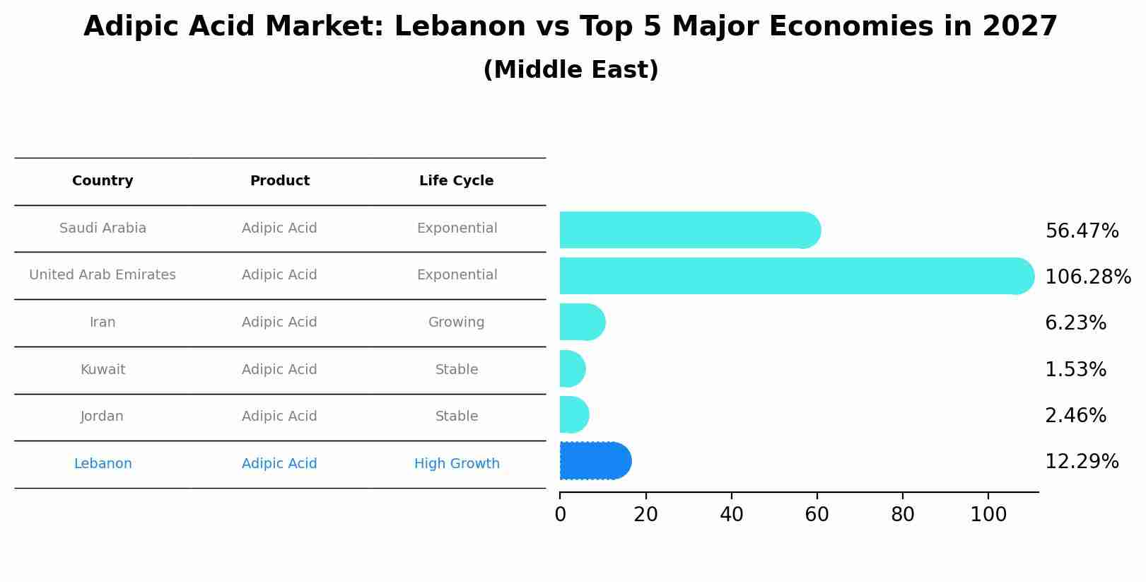 Adipic Acid Market: Lebanon vs Top 5 Major Economies in 2027 (Middle East)