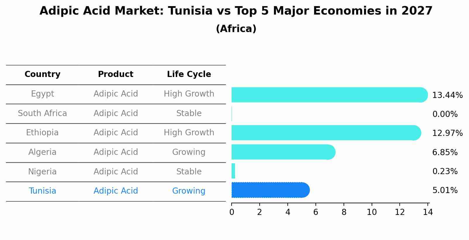 Adipic Acid Market: Tunisia vs Top 5 Major Economies in 2027 (Africa)