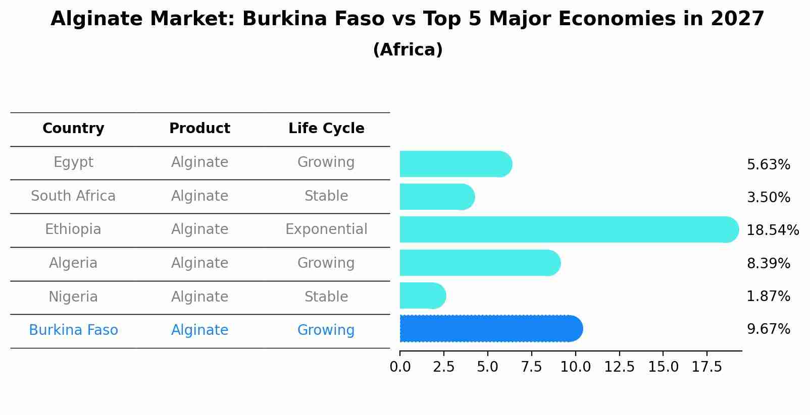 Alginate Market: Burkina Faso vs Top 5 Major Economies in 2027 (Africa)