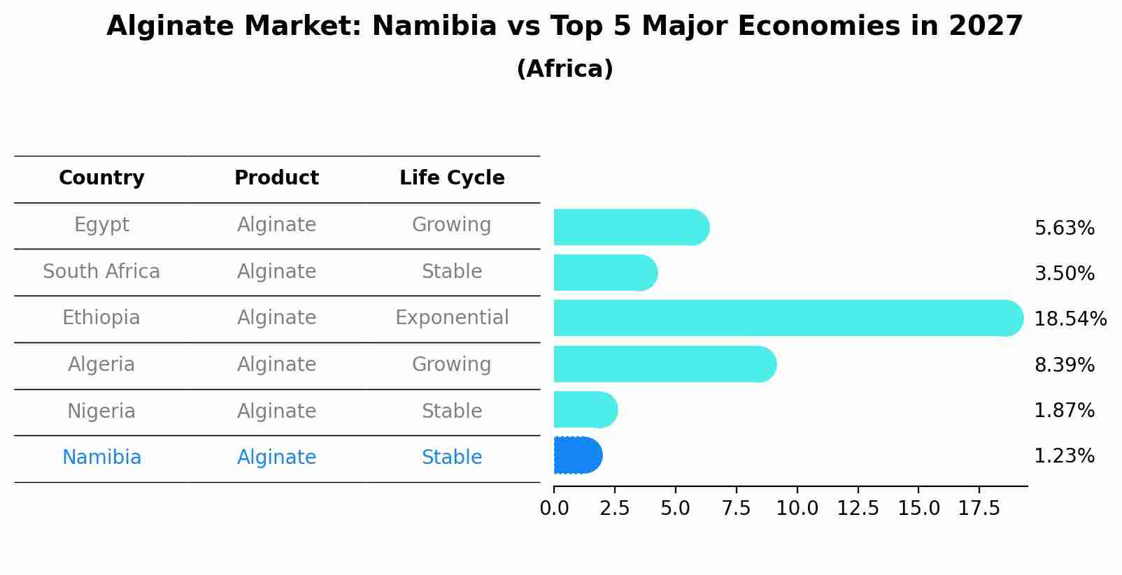 Alginate Market: Namibia vs Top 5 Major Economies in 2027 (Africa)