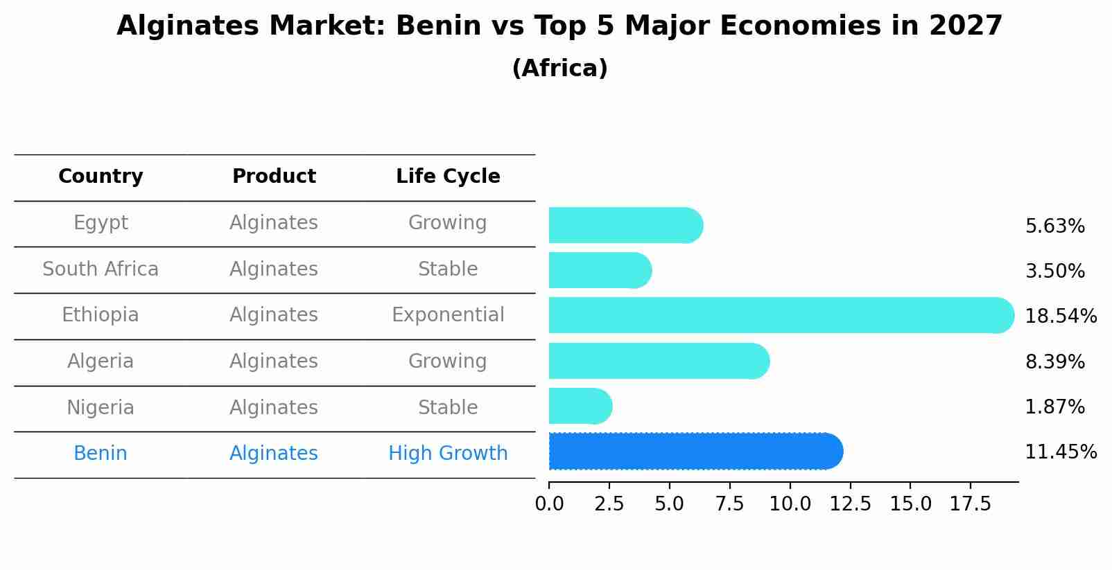 Alginates Market: Benin vs Top 5 Major Economies in 2027 (Africa)