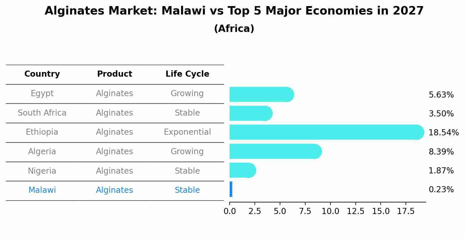 Alginates Market: Malawi vs Top 5 Major Economies in 2027 (Africa)