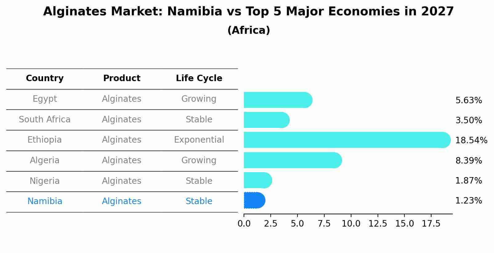 Alginates Market: Namibia vs Top 5 Major Economies in 2027 (Africa)