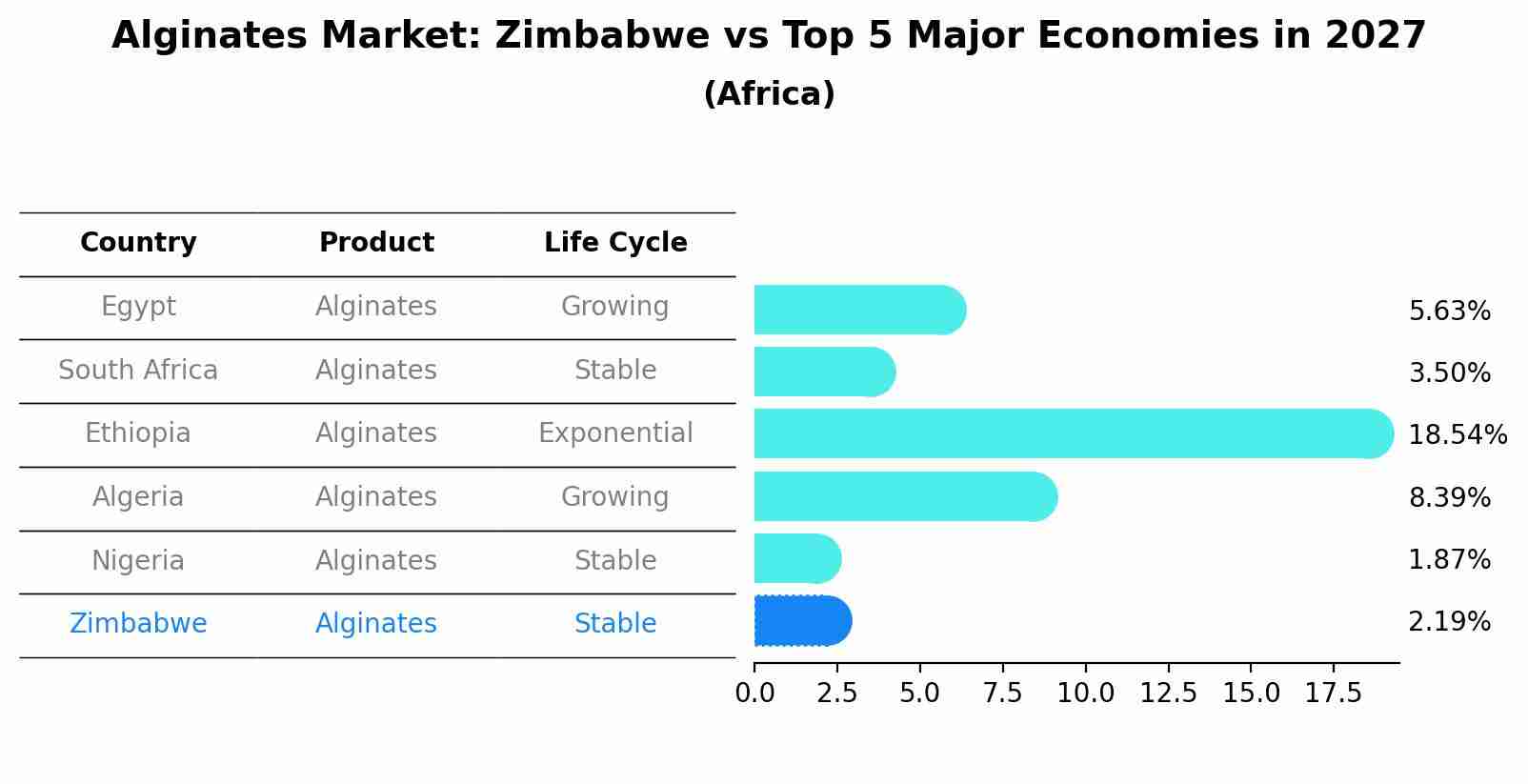 Alginates Market: Zimbabwe vs Top 5 Major Economies in 2027 (Africa)