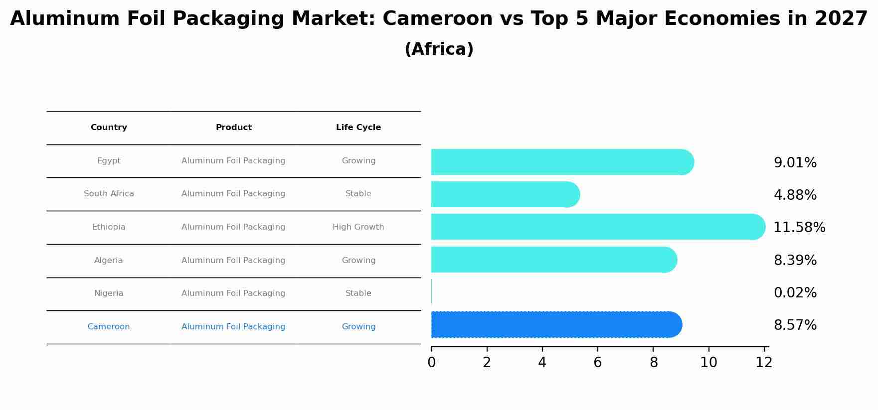 Aluminum Foil Packaging Market: Cameroon vs Top 5 Major Economies in 2027 (Africa)